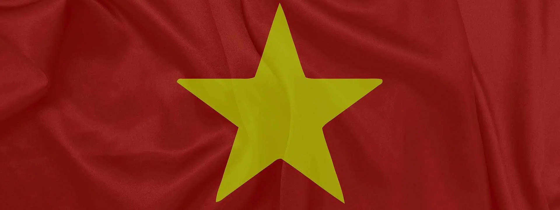 vietnamese translator - undefined
